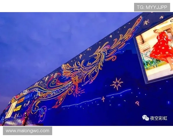 主场剧透！荆州 “凤凰于飞” 光影秀：双凤齐飞太震撼