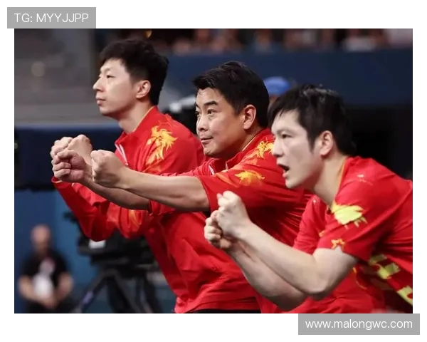 国乒男队横滨折戟：警惕外协会情绪反噬需从体系革新开始