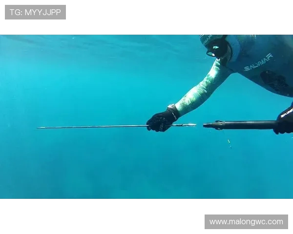 无蹼自由潜：水下翱翔，专业镜头全程捕捉(1)